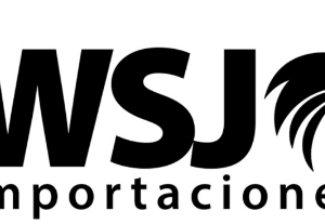 WSJ importaciones logo default